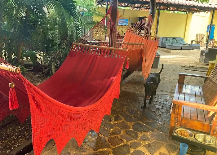 Backpackers Tamarindo