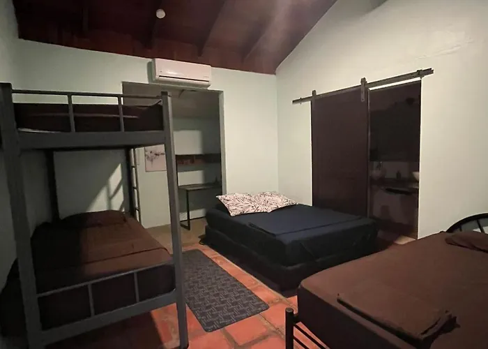 Hostel Backpackers