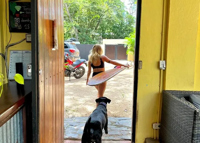 Backpackers