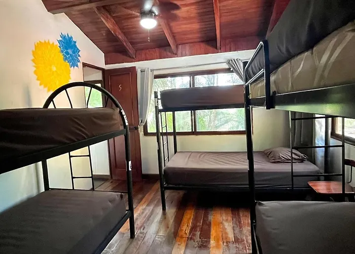 Hostel Backpackers