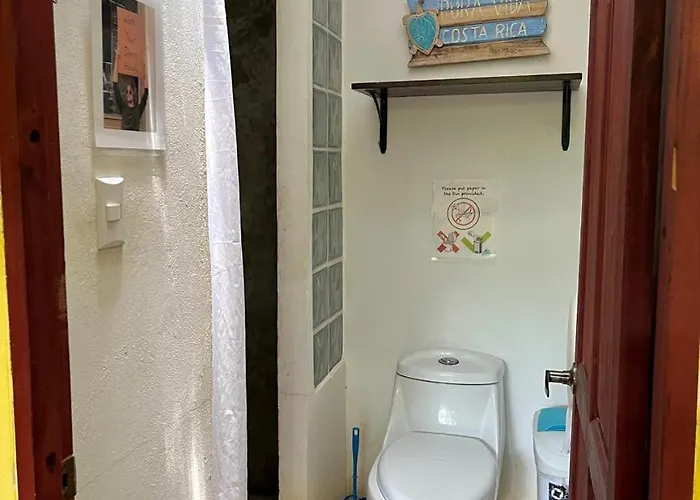 Backpackers Hostel *