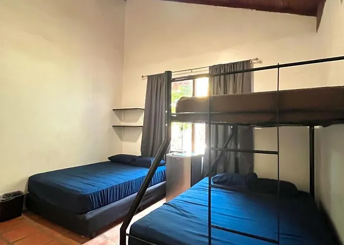 Hostel Backpackers *