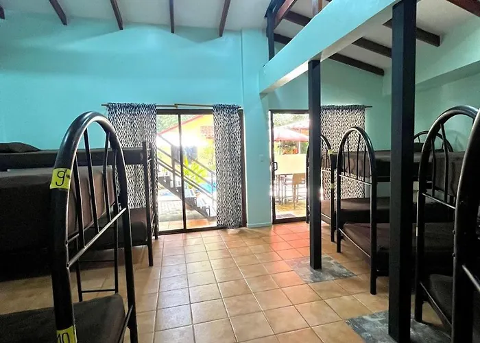 Hostel Backpackers